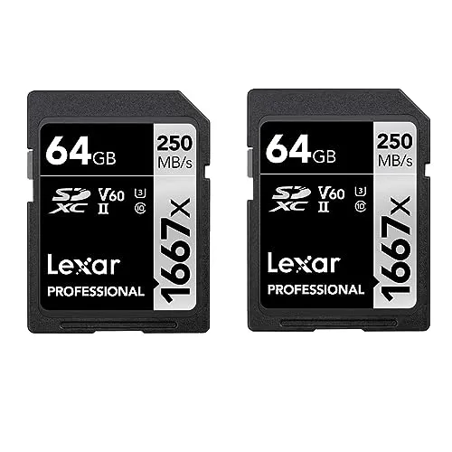 Lexar Professional 1667x SD Karte 64GB 2er-Pack