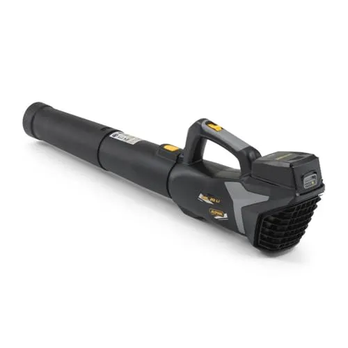 Alpina ABL 20 Li Kit Soffiatore A Batteria, 20V, 280 W – Tubo Rimovibile, Leggero, Ergonomico – Pulizia Giardino, Patio E Vialetto